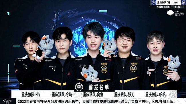 视球员的职