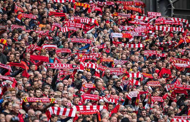 预计将推出 预计将推出